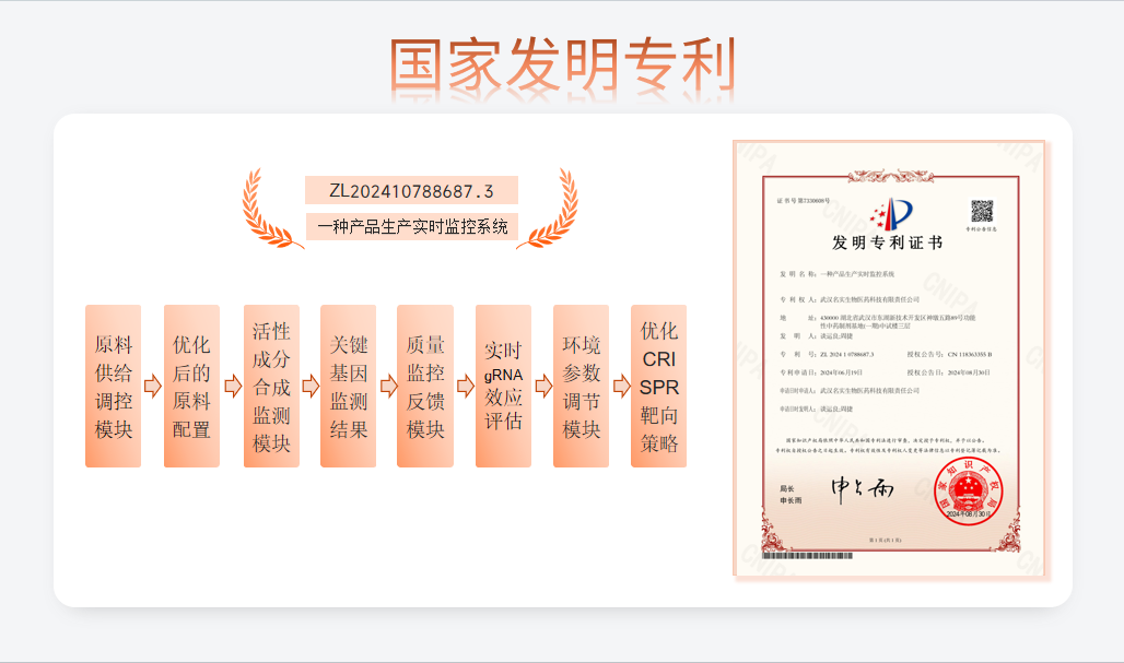 无码国产69精品久久久久